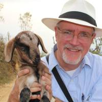 Man in white panama hat holding a baby goat